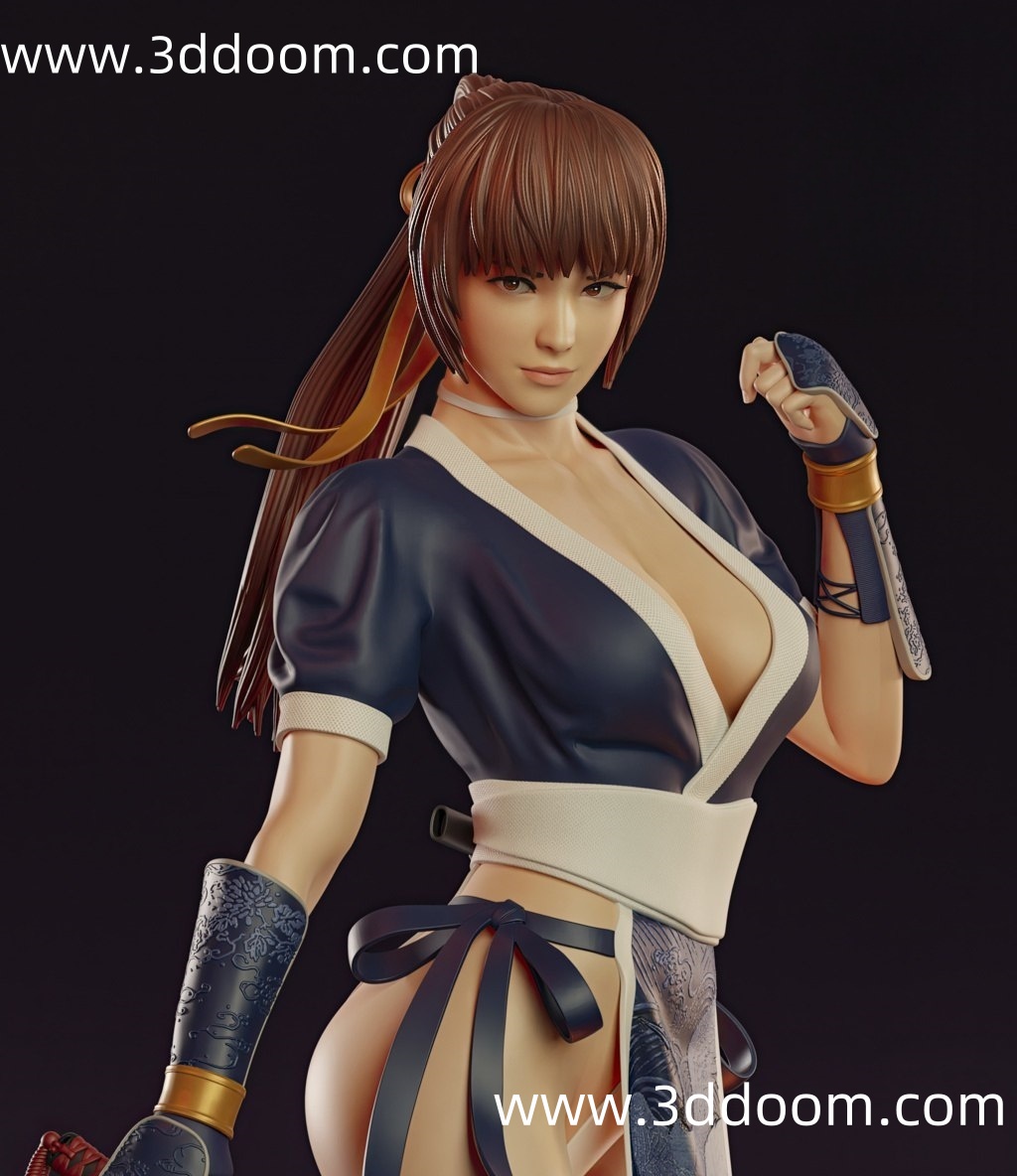 737 Kasumi Dead or Alive 死或生 霞-3D DOOM