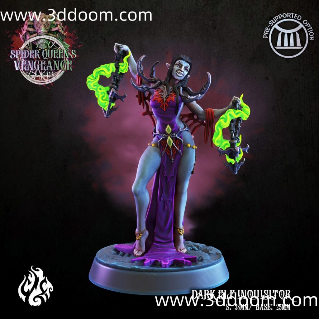 Dark elf Inquisitor